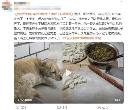 7年后失蹤的愛犬回家，主人感動不已