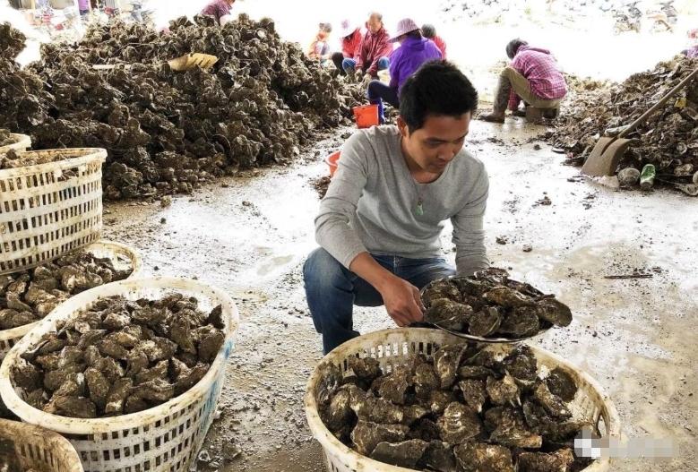 深圳玉海灣沙灘掀起海鮮熱潮：臺風