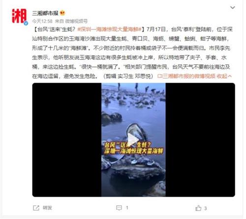 臺風“泰利”帶來豐盛海鮮，深圳玉海灣沙灘成“海鮮灘”