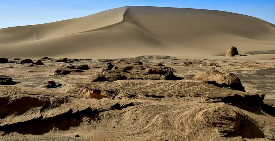 羅布泊野駱駝保護區(qū)禁私自進入，外地游客嚴防危險