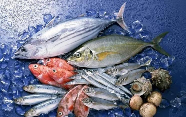 臺灣曝光：日本秋刀魚含致癌物超標40倍，島內網(wǎng)民憂心食品安全