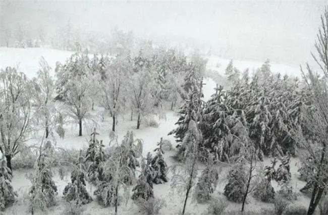 內(nèi)蒙古多倫縣突降大雪，交通受阻學(xué)校停課，氣象部門發(fā)布結(jié)冰預(yù)警